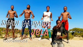 SHADI YA MAWE 2026 SONG_JELA_Offcial_Muzic_Video_2026