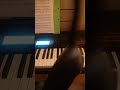 Katze spielt Pianoton