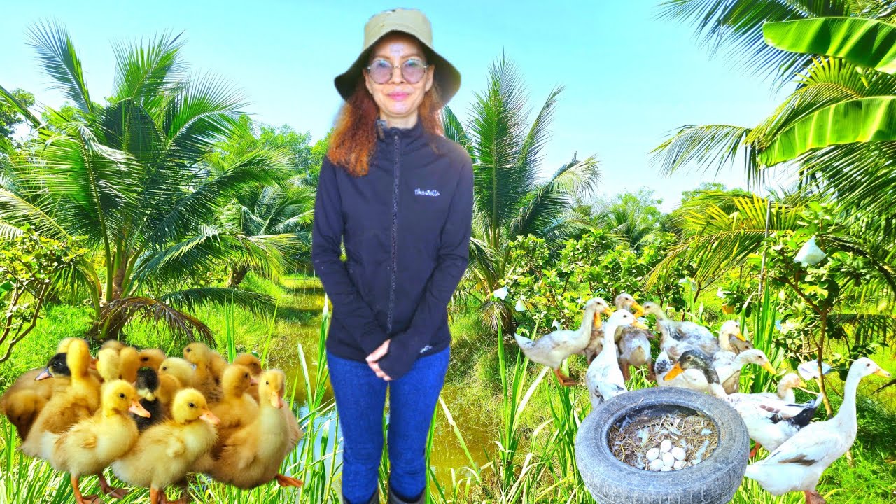 เกษตรผสมผสานฉบับลงมือจริง!!เลี้ยงฝันปั้นเป็ดไก่การเริ่มต้นจากศูนย์จนมีฟาร์มสร้างรายได้พออยู่พอกิน