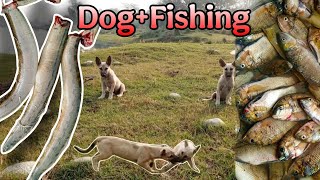 Kutton ki machli par larai ho gai|Bam machli ka shikar#Fishing vlog