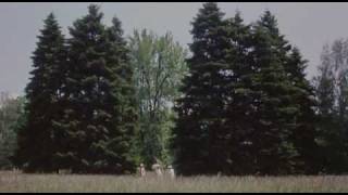 Yasha8 - After The Masters Come, Reject Dunyashacigar Headache