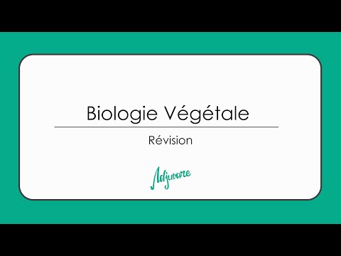 Tutorat biologie végétale : Révision