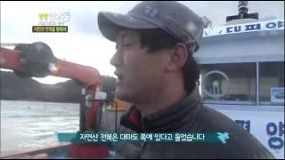 생생정보통 - Live Info Show 01 EP772 # 010