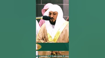 تلاوة مؤثرة جداً لفضيلة الشيخ د. ماهر المعيقلي || أيحسب الإنسان أن يترك سدى