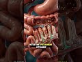 Benefits of Banana🍌✅#nurse #ytshorts #nursing #bscnursing #nursingstudents #animation #educational