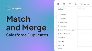 Match and Merge Salesforce Duplicates Using Dedupely