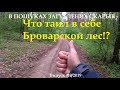 В пошуках загублених скарбів #10/2019. Что таил в себе Броварской лес?