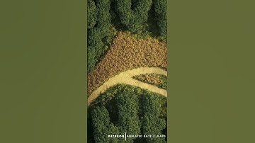 D&D | Harvestrun Part 5 No Grid | Animated Battle Maps