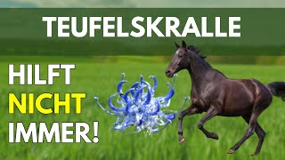 Wie wirkt Teufelskralle beim Pferd? Alles, was du wissen musst!