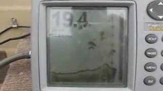 Depth Finder showing Fish