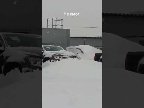Volkswagen Amarok Failure Exposed