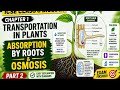 "Root Absorption & Osmosis Explained | ICSE Class 8 | Complete Chapter"