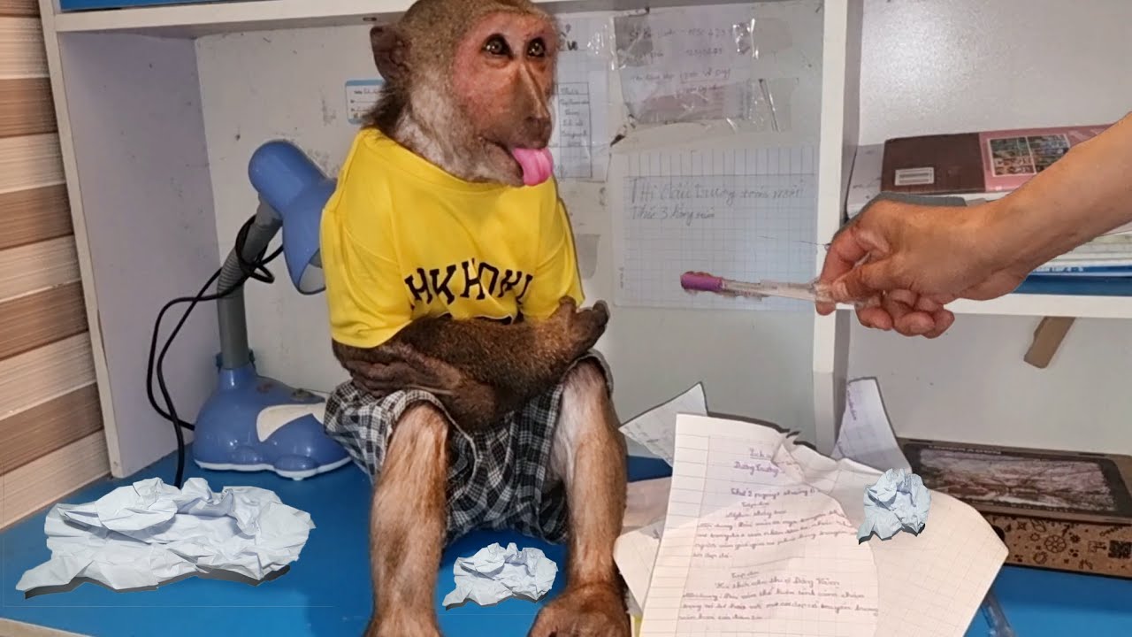 Today, MOM punished ABU (CRY​)