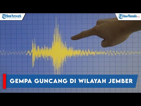 INFO BMKG, GEMPA TERKINI BARU SAJA GUNCANG DI LAUT JEMBER