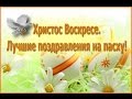 Христос Воскресе. Лучшие поздравления на пасху!