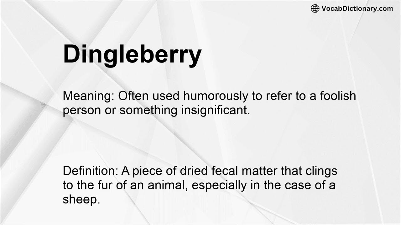 Dingleberry Meaning - YouTube - What Does A Dingleberry Look Like