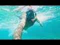 SPOTTING DOLPHINS, WASINI ISLAND - KENYA