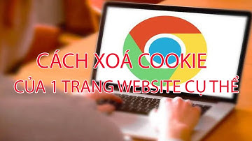 Cách xóa cookie 1 trang web trên Chrome, Coccoc, Firefox