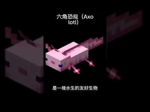 #minecraft  六角恐龍（Axolotl）#麥塊 #我的世界