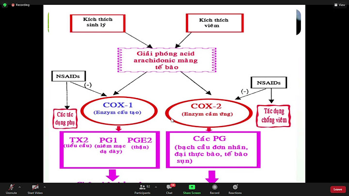 So sánh ức chế cox1 với ức chế cox2 năm 2024