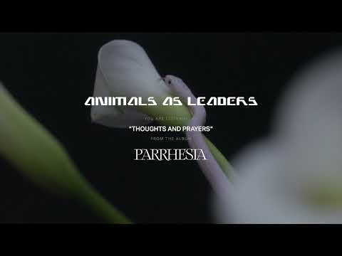 ANIMALS AS LEADERS - Thoughts and Prayers