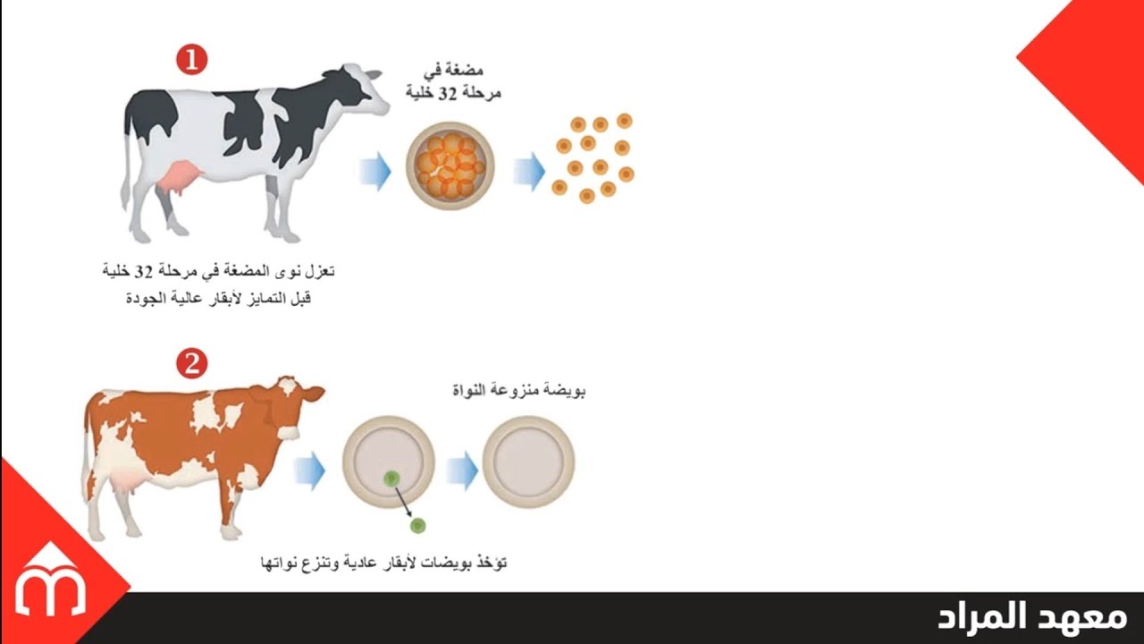 03- التقانات الحيوية في التكاثر (الجزء الأول)-علوم بكالوريا