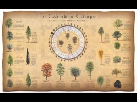 Vidéo: Calendrier Druidique