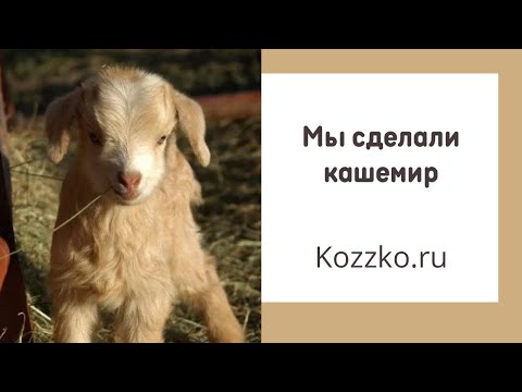Как мы кашемир делали. Быль