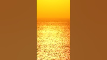 Take a break from scrolling with Ocean Ambience! #shorts