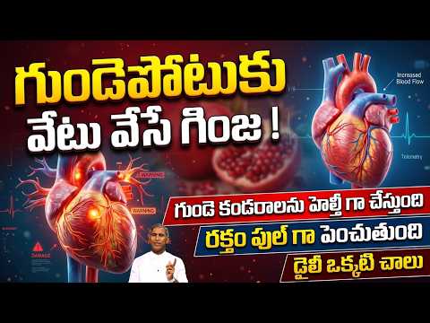 Heart Attack | గుండెపోటుకు వేటు వేసే గింజ ! | Pomegranate Benefits | Dr Manthena Satyanarayana Raju
