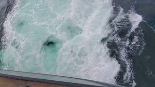 Crash Astern And Ahead Test During Sea Trial