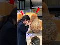 Girl DESTROYS Million-Dollar Dubai Art by Accident... Then Fixes It in Panic! 😱