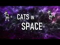 Cats in space pt 2  how to generate chords with audiocipher