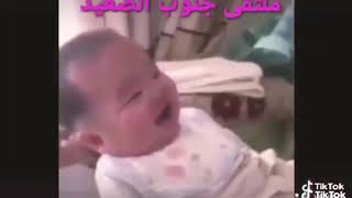 حالة واتس اب مضحكة ?????