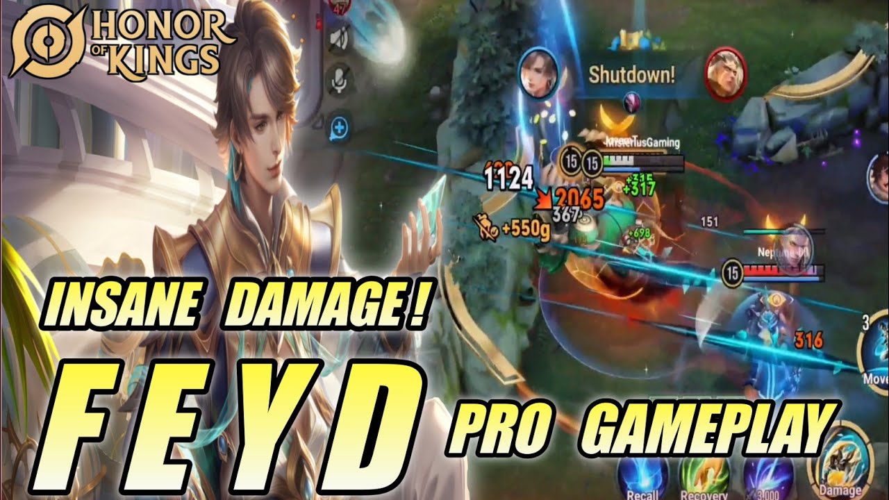 FEYD Best Jungler INSANE DAMAGE! | Pro Gameplay Strategy & Technique - Honor of Kings (HOK)