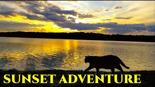 Sunset Adventure with Cat