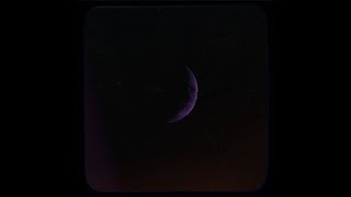 Purple Dreams - Silver Maple