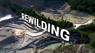Rewilding a landscape. Vietnam director of photography, drone, Peter Scheid Film Ho Chi Minh City