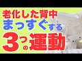 【姿勢改善】老化して丸くなった猫背の背中をまっすぐにするなら、簡単にできるこの３つの運動をやってみて！