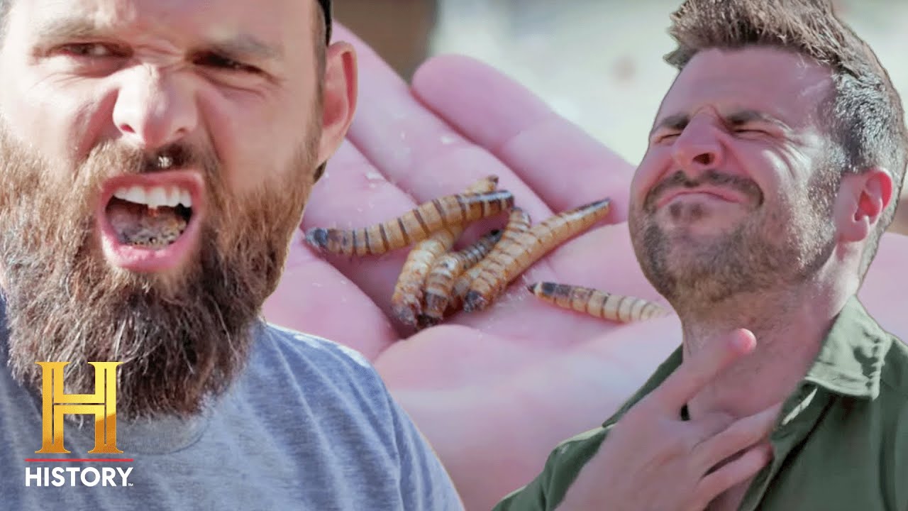 Documentary backdrop image for Could You Stomach a Tarantula's Diet?! (2022)