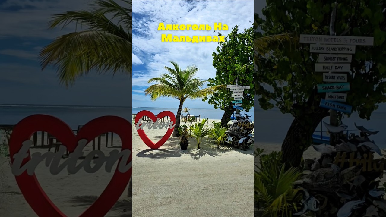 Правда Про Алкоголь На Мальдивах