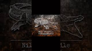 part-20 MAN-Eating Crocodile | Carter's  WAR (The Animal club English) #wildlife