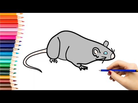 Video: Kaip nupiešti pelės paveikslėlį?