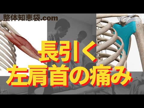 長引く左肩首の痛み「整体知恵袋.com」