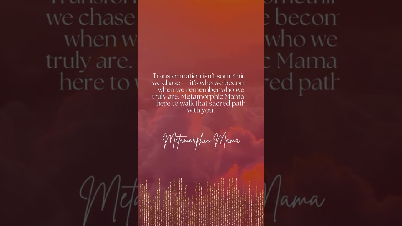 The journey has begun