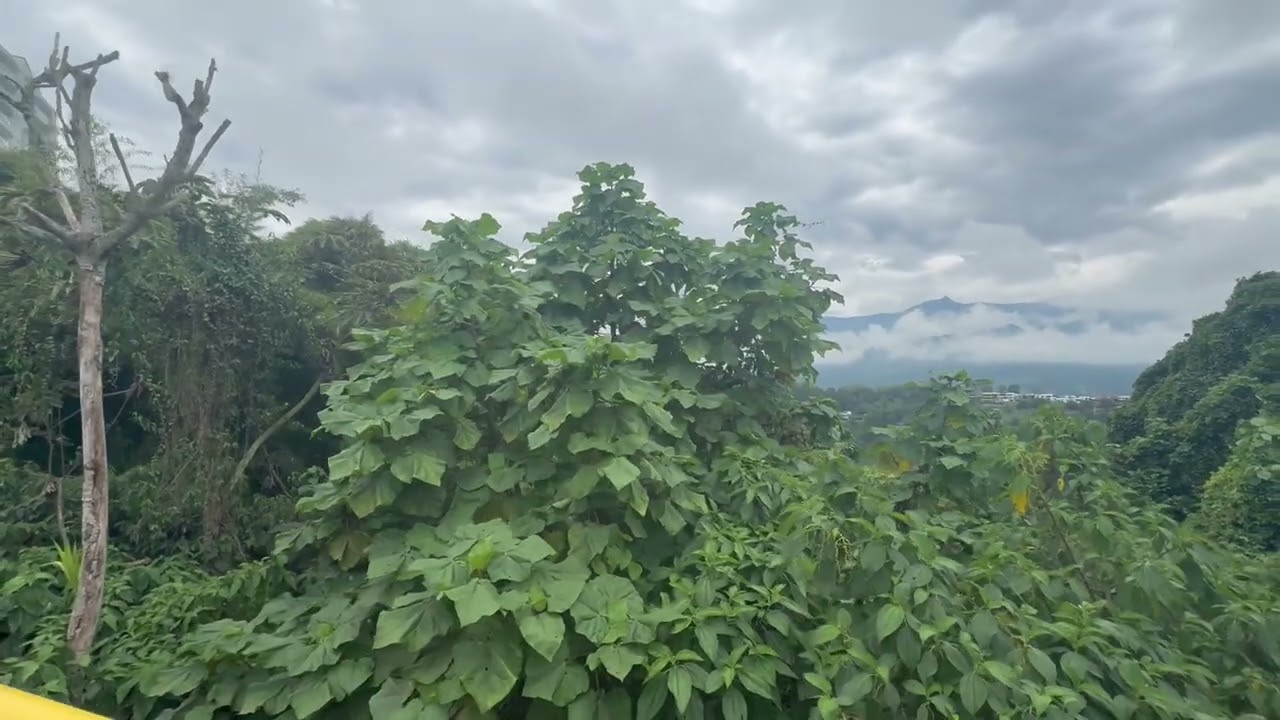 Colombia Skys Are Incredible In Armenia Coffee Axis