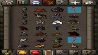 FULL INVENTORY OF PETS / NEW AUDIO SETUP