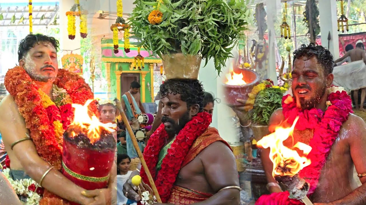 விஜயநகரி முத்தாரம்மன் கோவில் கொடை விழா | உஜ்ஜையினிமாகாளி, மாரியம்மன் | சாமி ஆட்டம் | கருங்கிடாகாரன்