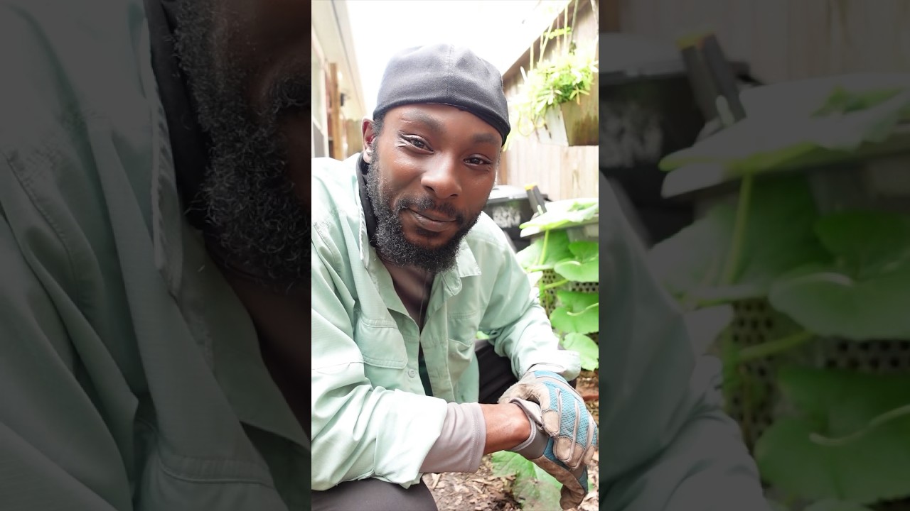 Basil lesson on self-awareness… listen up! 🌿