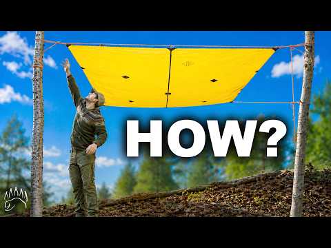 The Bear Essentials - YouTube